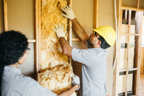 Best Insulation for New Construction  in Gravette, AR